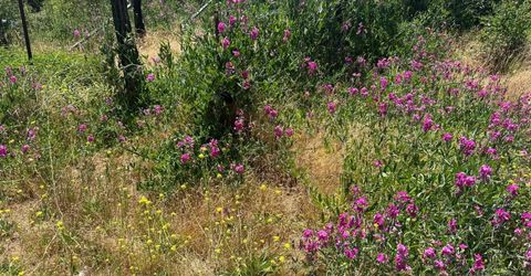992 Rush Creek Road, Twain, CA 95984 Photo