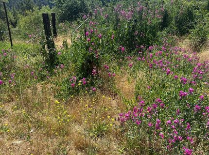 992 Rush Creek Road, Twain, CA 95984 Photo
