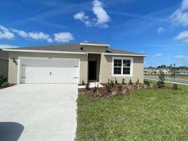 1246 RED HILL ROAD, DAVENPORT, FL 33837