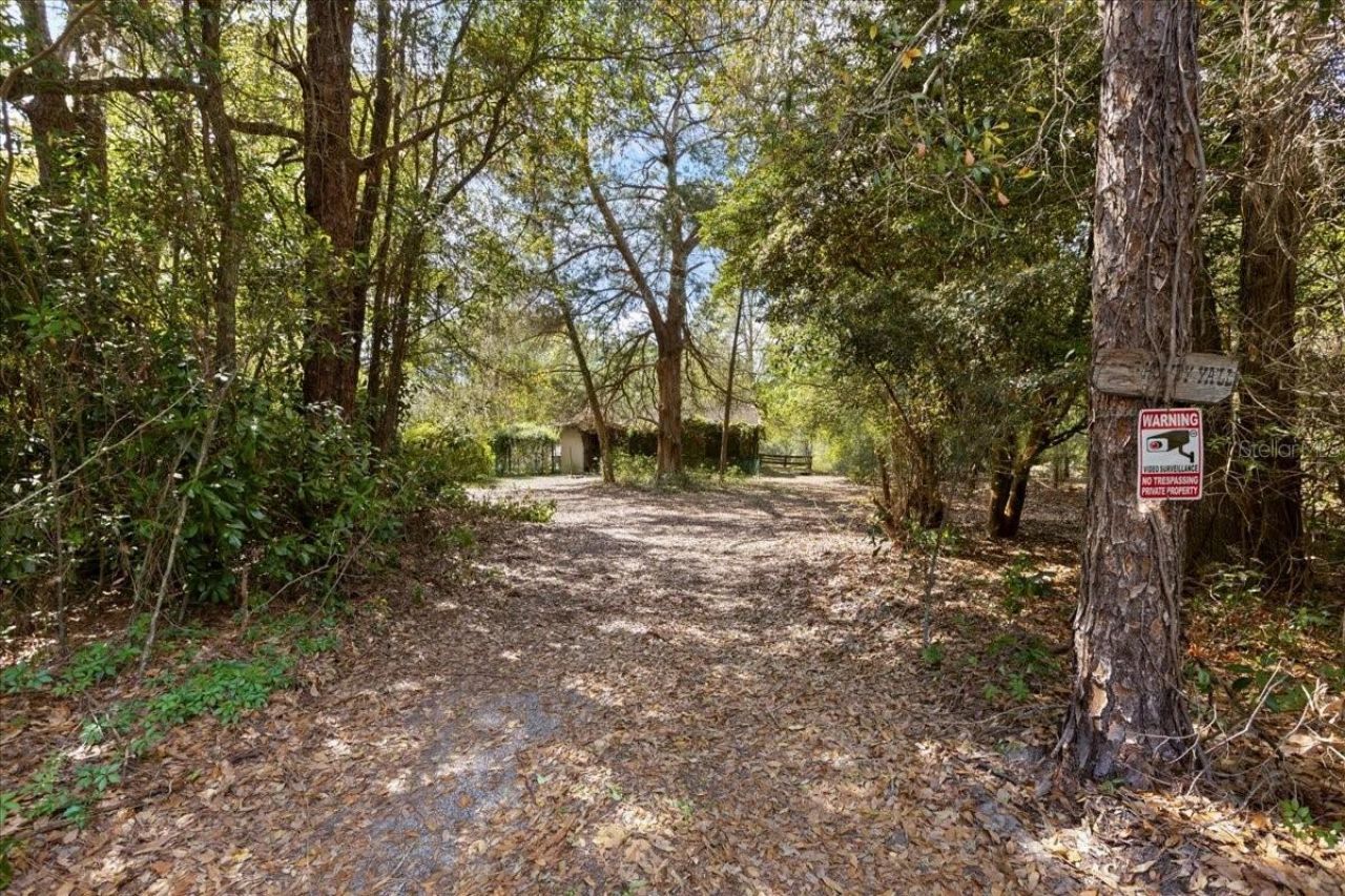 6950 SE Highway 41 , Morriston, FL 32668 Photo