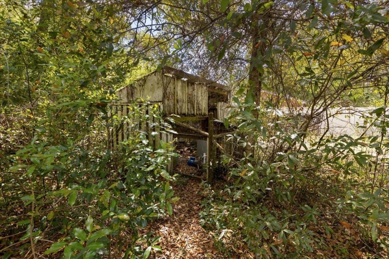 6950 SE Highway 41 , Morriston, FL 32668 Photo