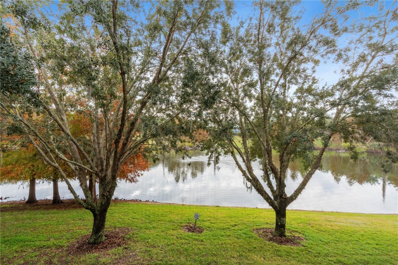 911 New Providence , Unit 911, Davenport, FL 33897 Photo