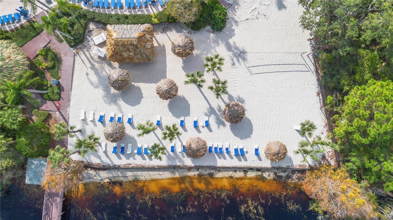 911 New Providence , Unit 911, Davenport, FL 33897 Photo