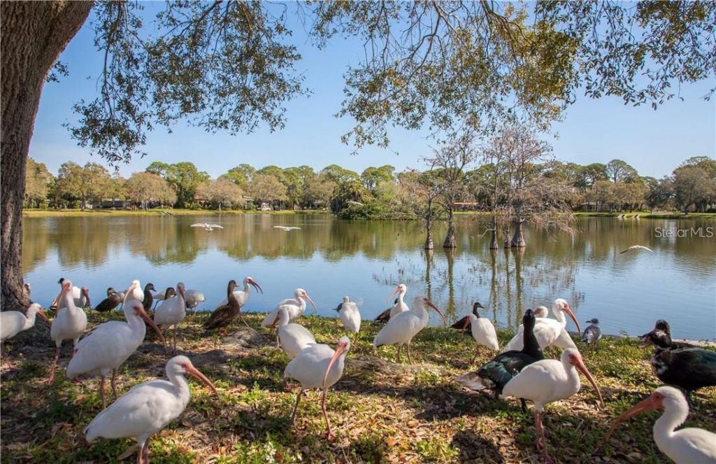 200 62nd Street N, Saint Petersburg, FL 33710 Photo