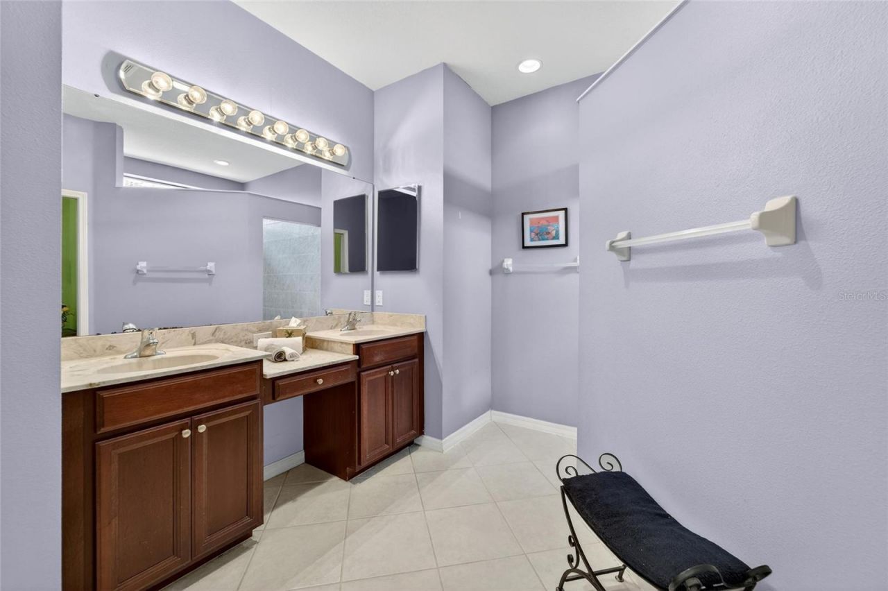 144 Silver Falls Drive , Apollo Beach, FL 33572 Photo