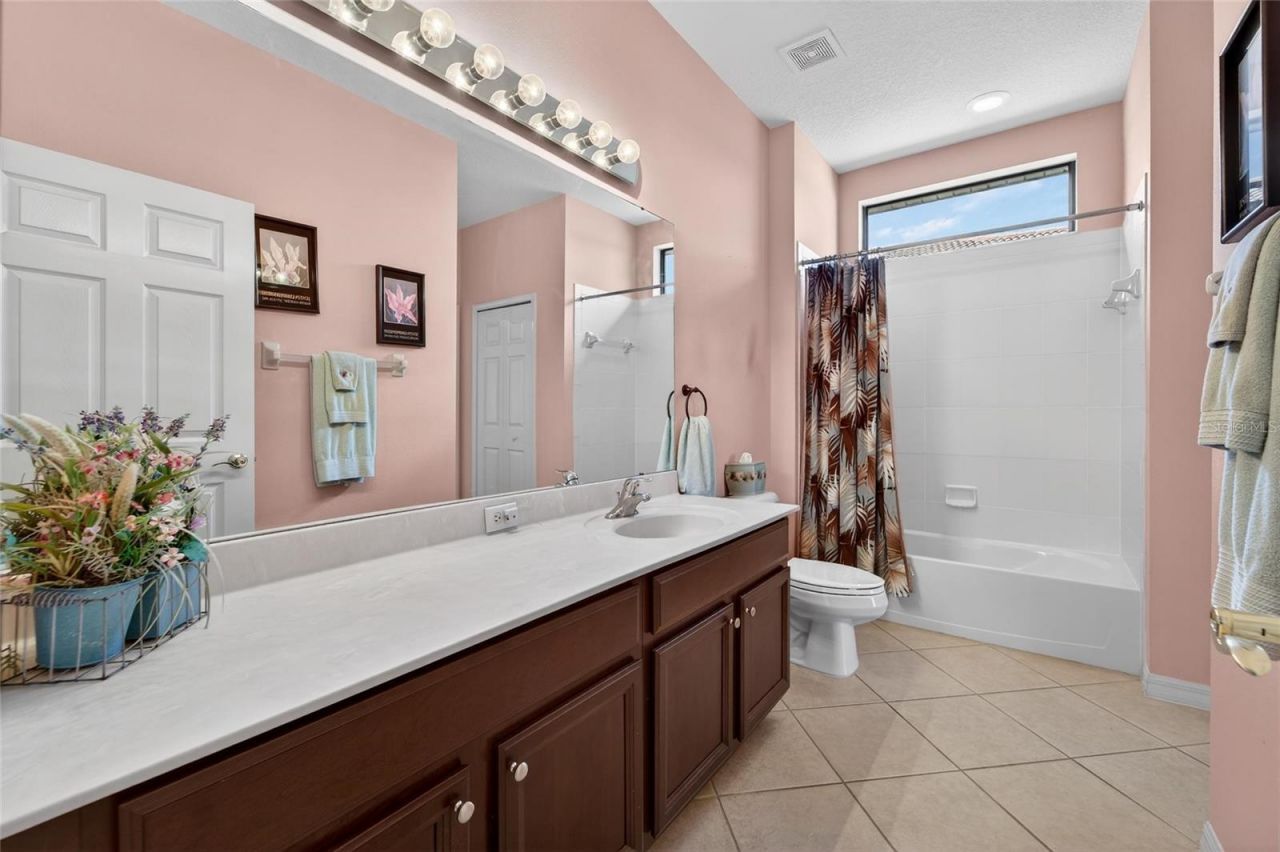 144 Silver Falls Drive , Apollo Beach, FL 33572 Photo