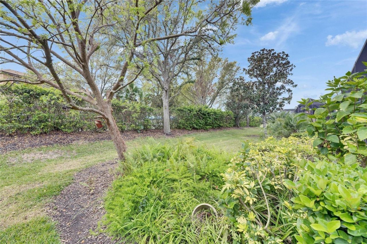 144 Silver Falls Drive , Apollo Beach, FL 33572 Photo