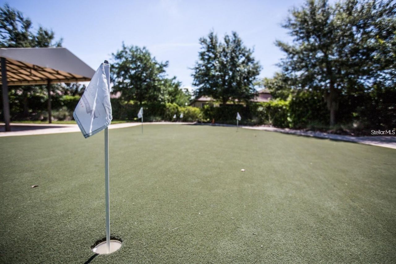 144 Silver Falls Drive , Apollo Beach, FL 33572 Photo