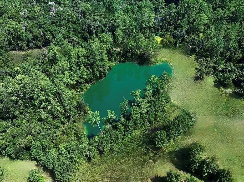 7650 N Whippoorwill Terrace, Hernando, FL 34442 Photo