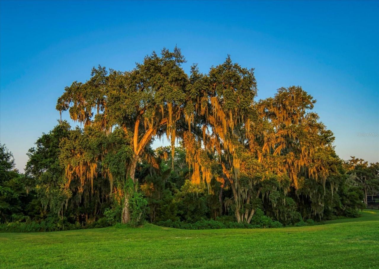 7650 N Whippoorwill Terrace, Hernando, FL 34442 Photo