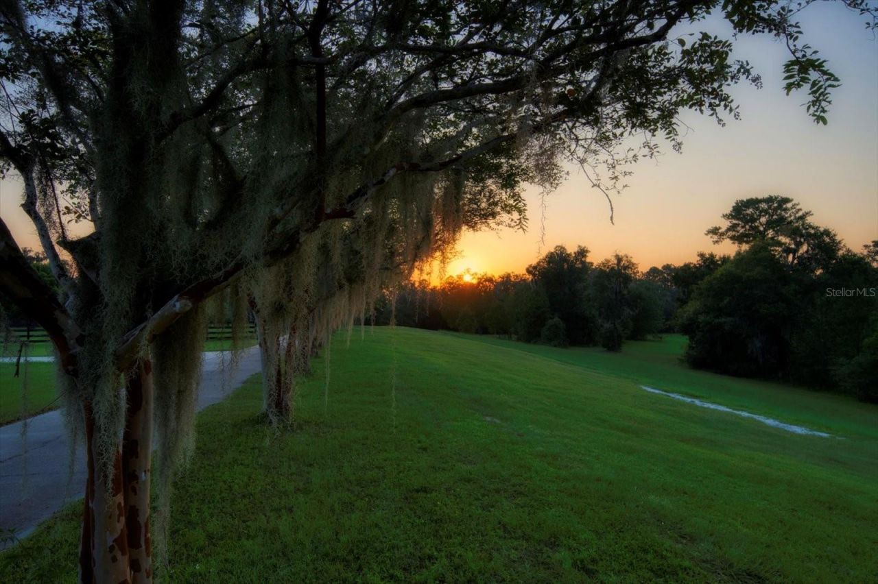 7650 N Whippoorwill Terrace, Hernando, FL 34442 Photo