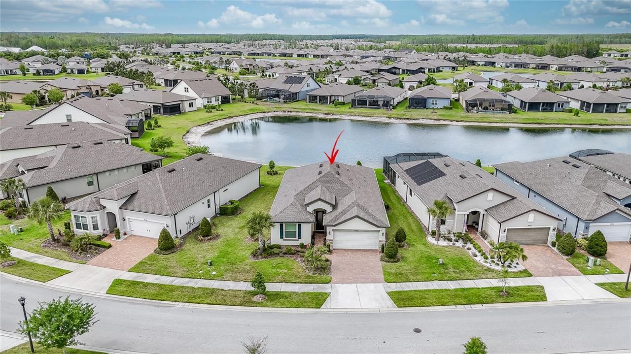 19724 Ship Wheel Way , Land O Lakes, FL 34638 Photo