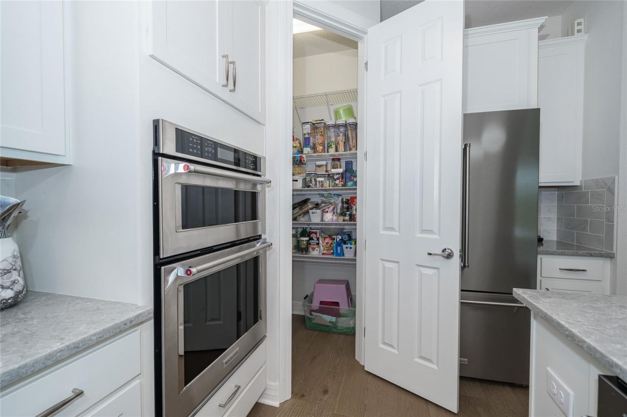 19724 Ship Wheel Way , Land O Lakes, FL 34638 Photo