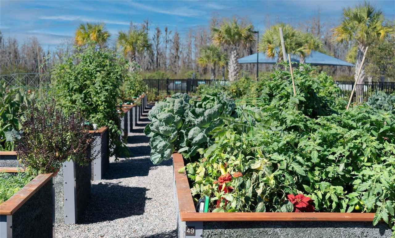 19724 Ship Wheel Way , Land O Lakes, FL 34638 Photo