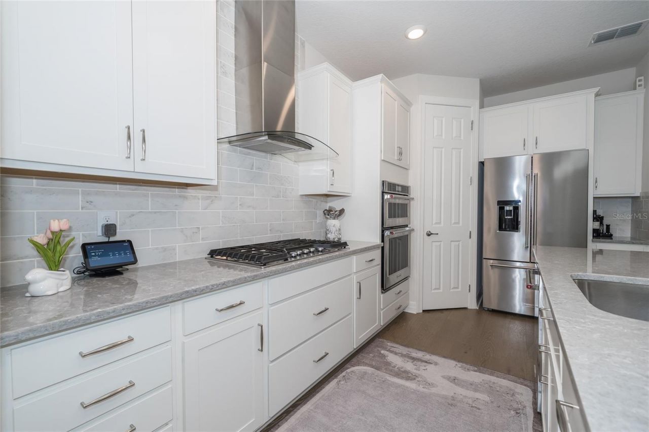 19724 Ship Wheel Way , Land O Lakes, FL 34638 Photo