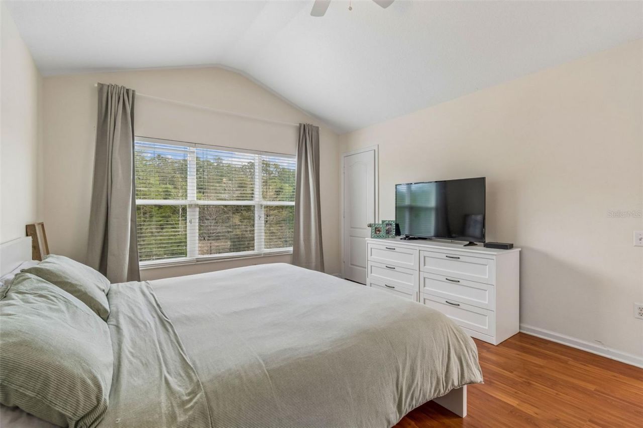 26527 Castleview Way , Wesley Chapel, FL 33544 Photo