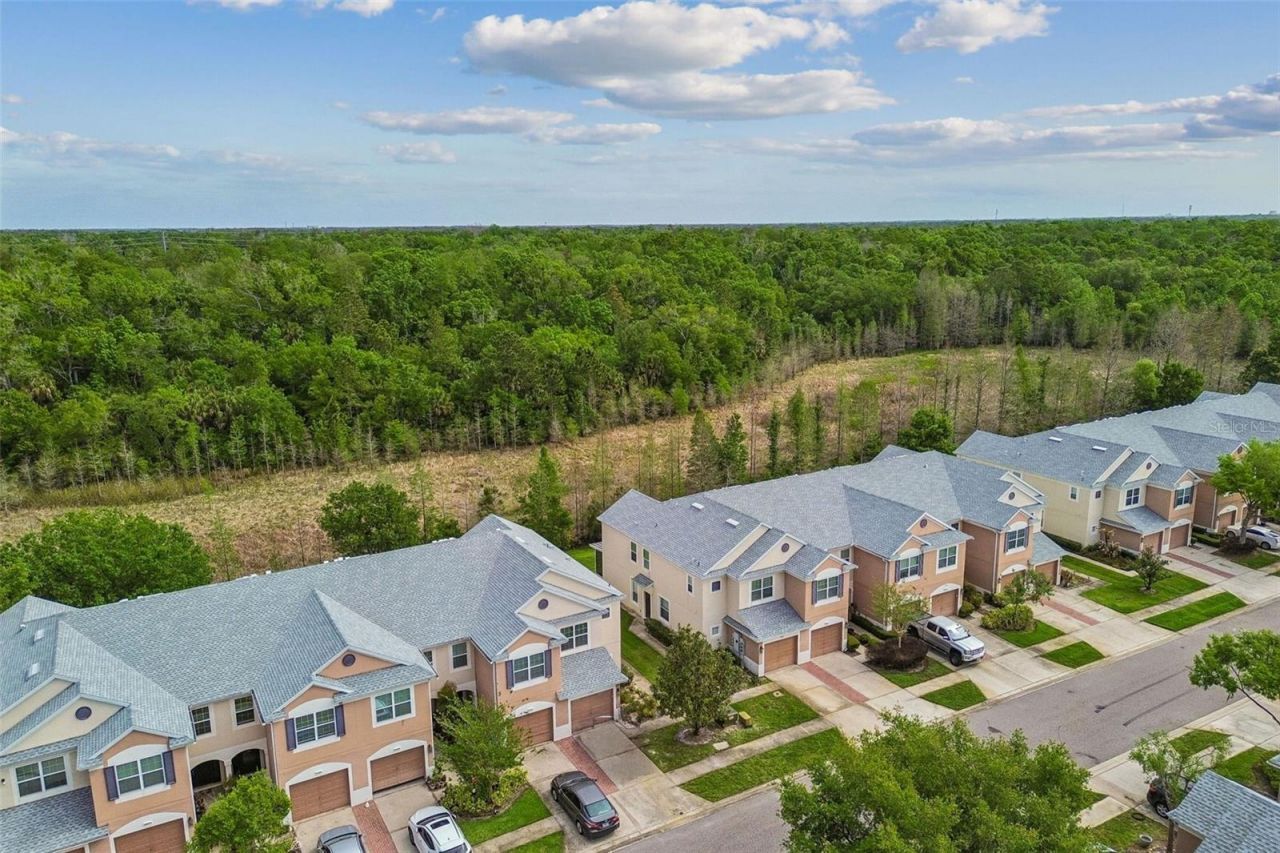 26527 Castleview Way , Wesley Chapel, FL 33544 Photo