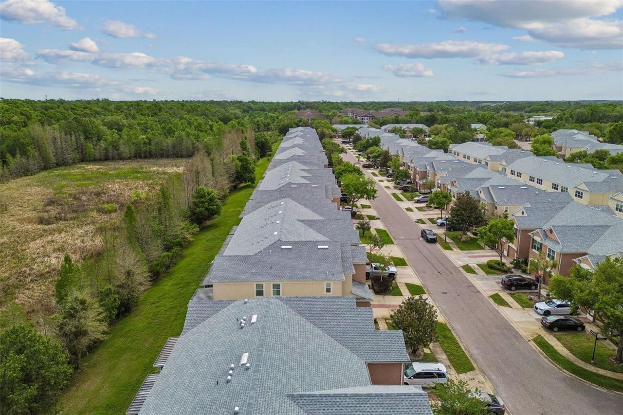 26527 Castleview Way , Wesley Chapel, FL 33544 Photo