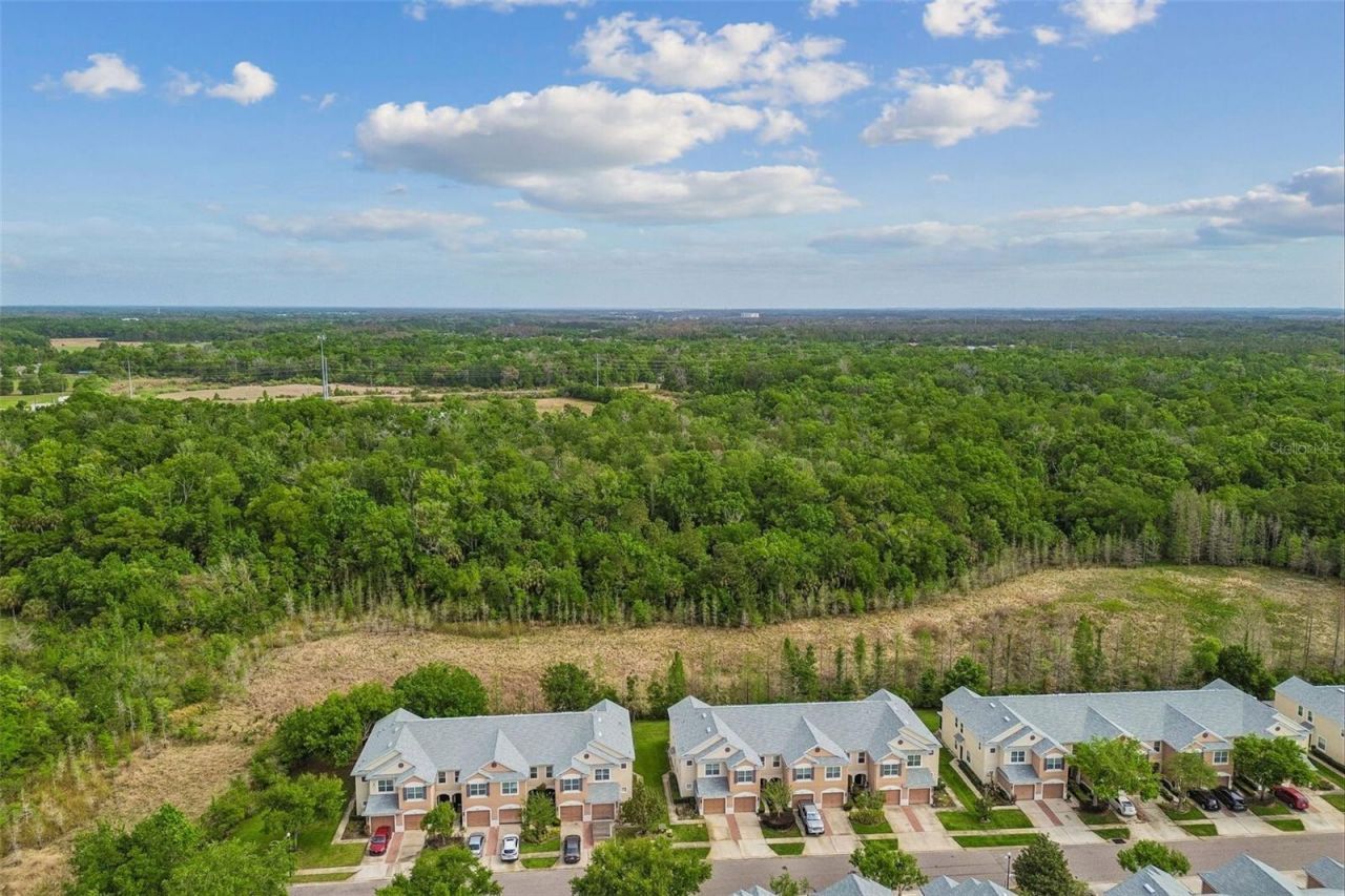 26527 Castleview Way , Wesley Chapel, FL 33544 Photo