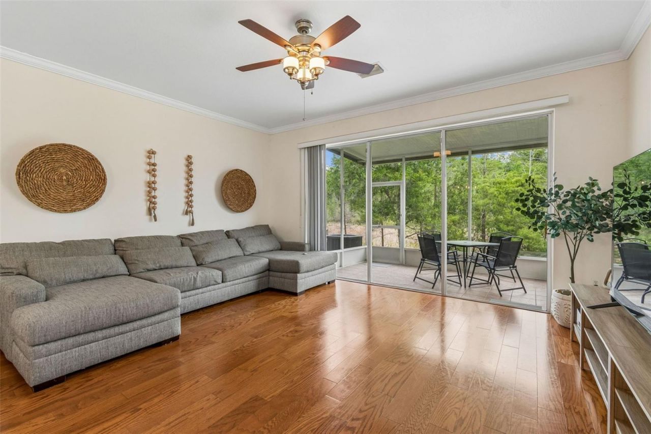 26527 Castleview Way , Wesley Chapel, FL 33544 Photo