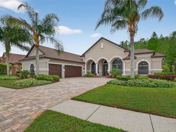 1607 ABYSS DRIVE , ODESSA, FL 33556