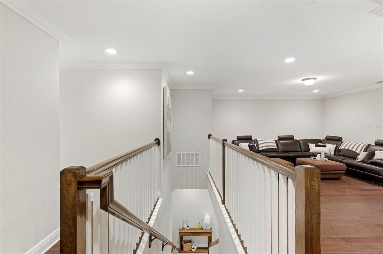 1004 Mango Court, Oldsmar, FL 34677 Photo