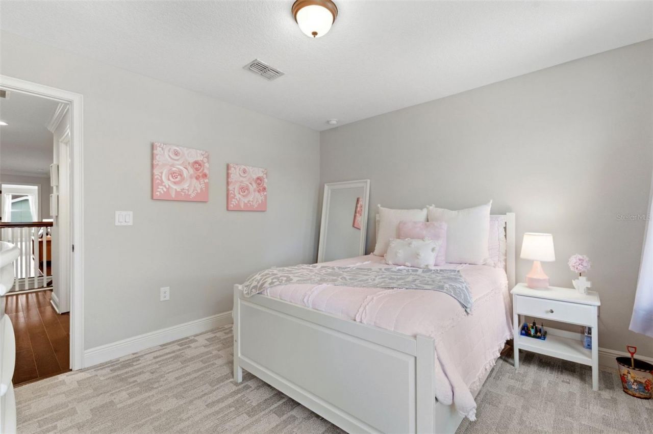 1004 Mango Court, Oldsmar, FL 34677 Photo