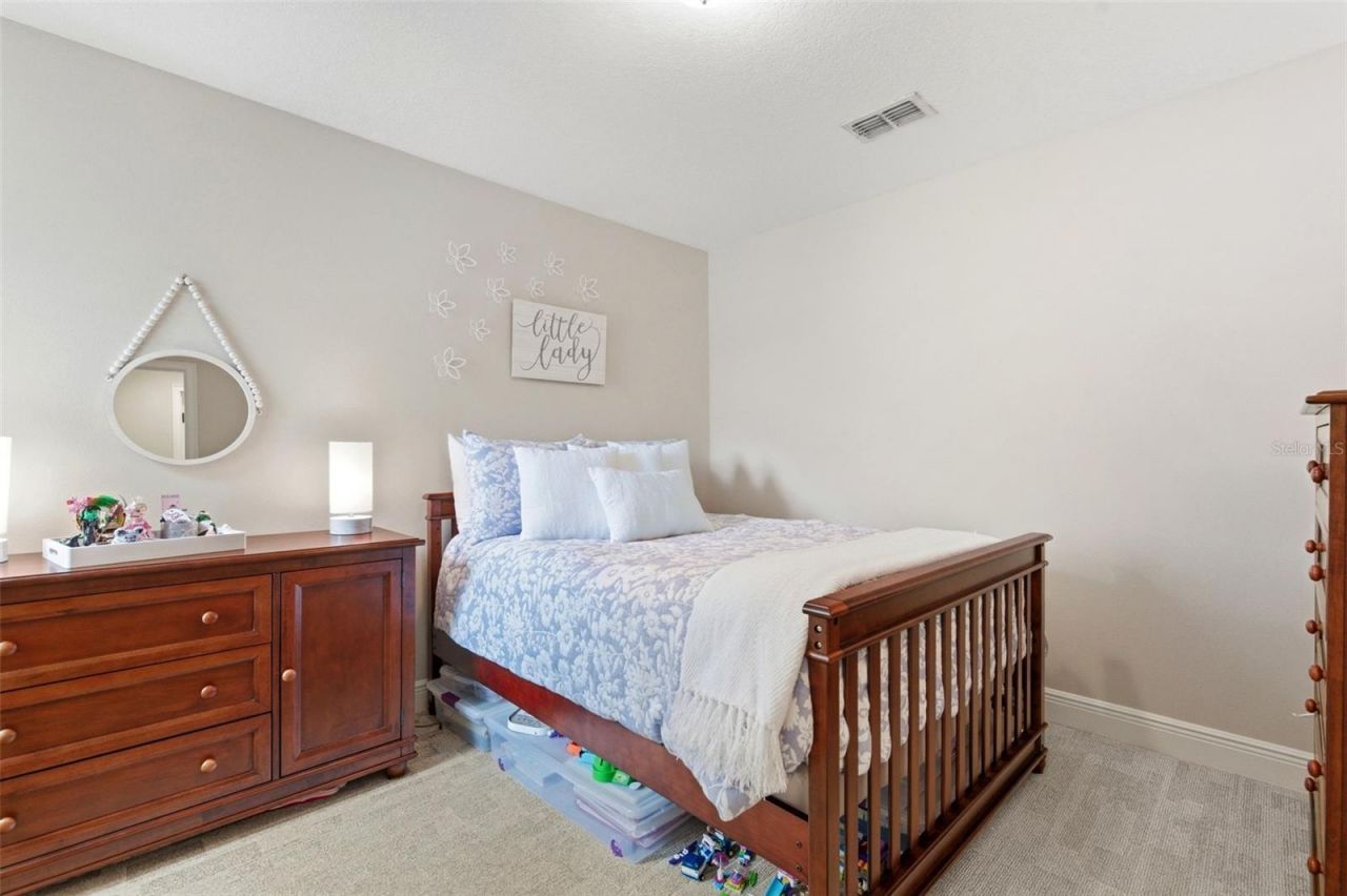 1004 Mango Court, Oldsmar, FL 34677 Photo