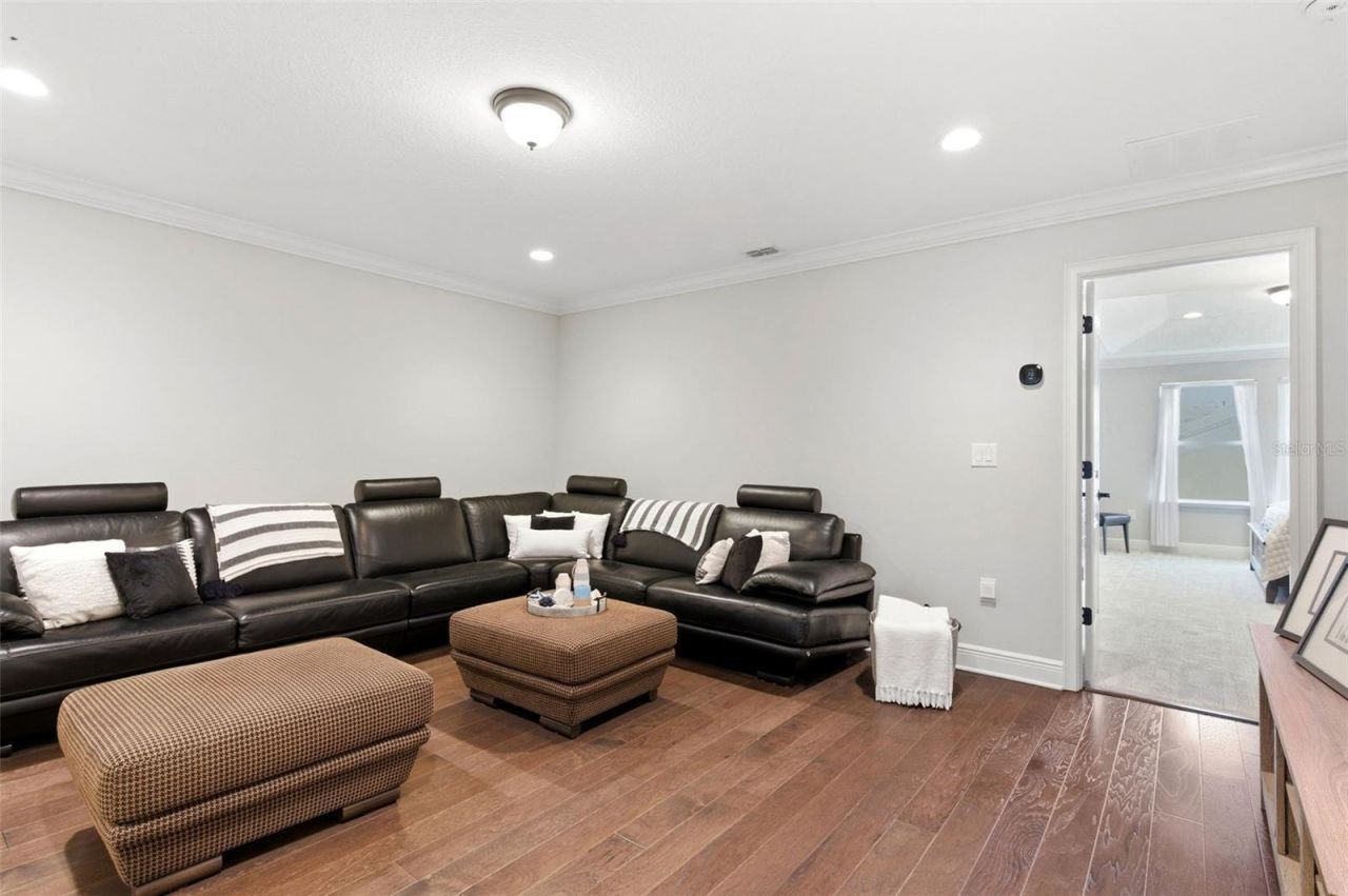 1004 Mango Court, Oldsmar, FL 34677 Photo