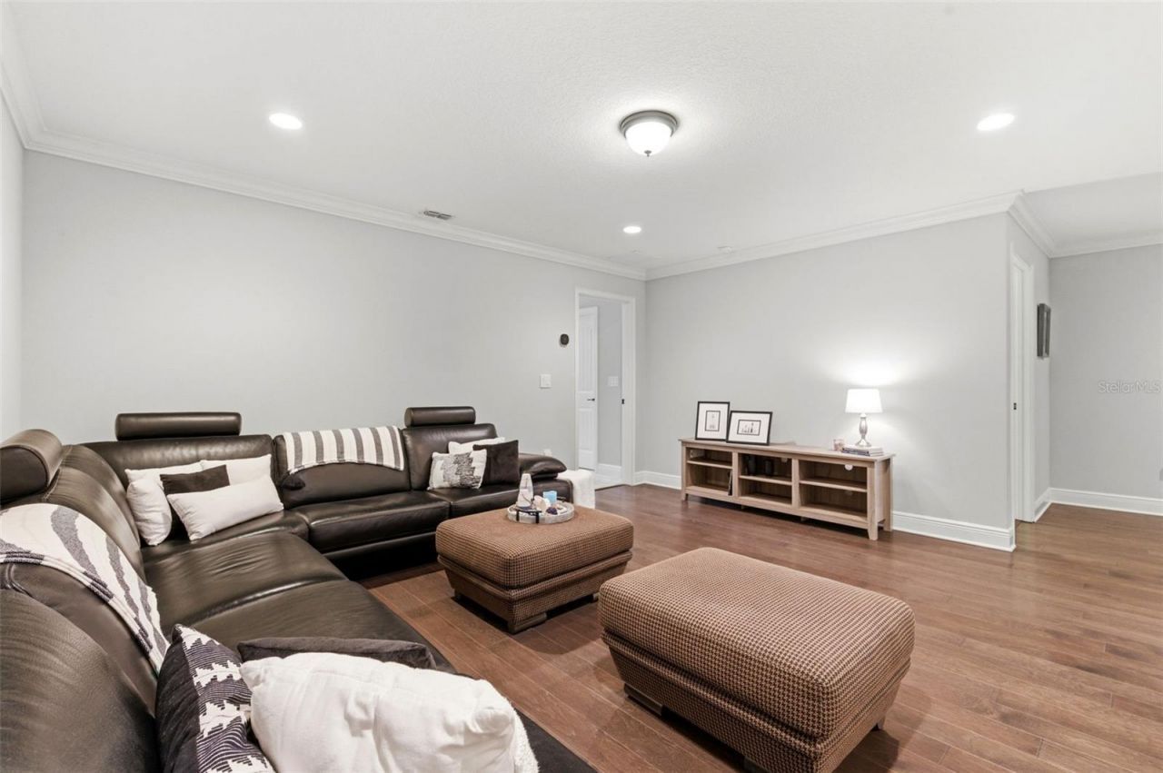 1004 Mango Court, Oldsmar, FL 34677 Photo