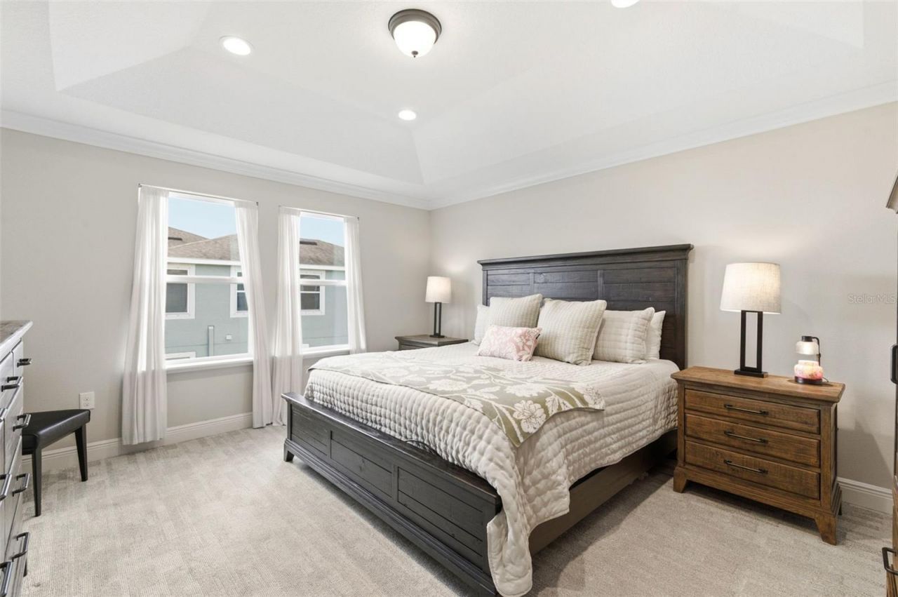 1004 Mango Court, Oldsmar, FL 34677 Photo