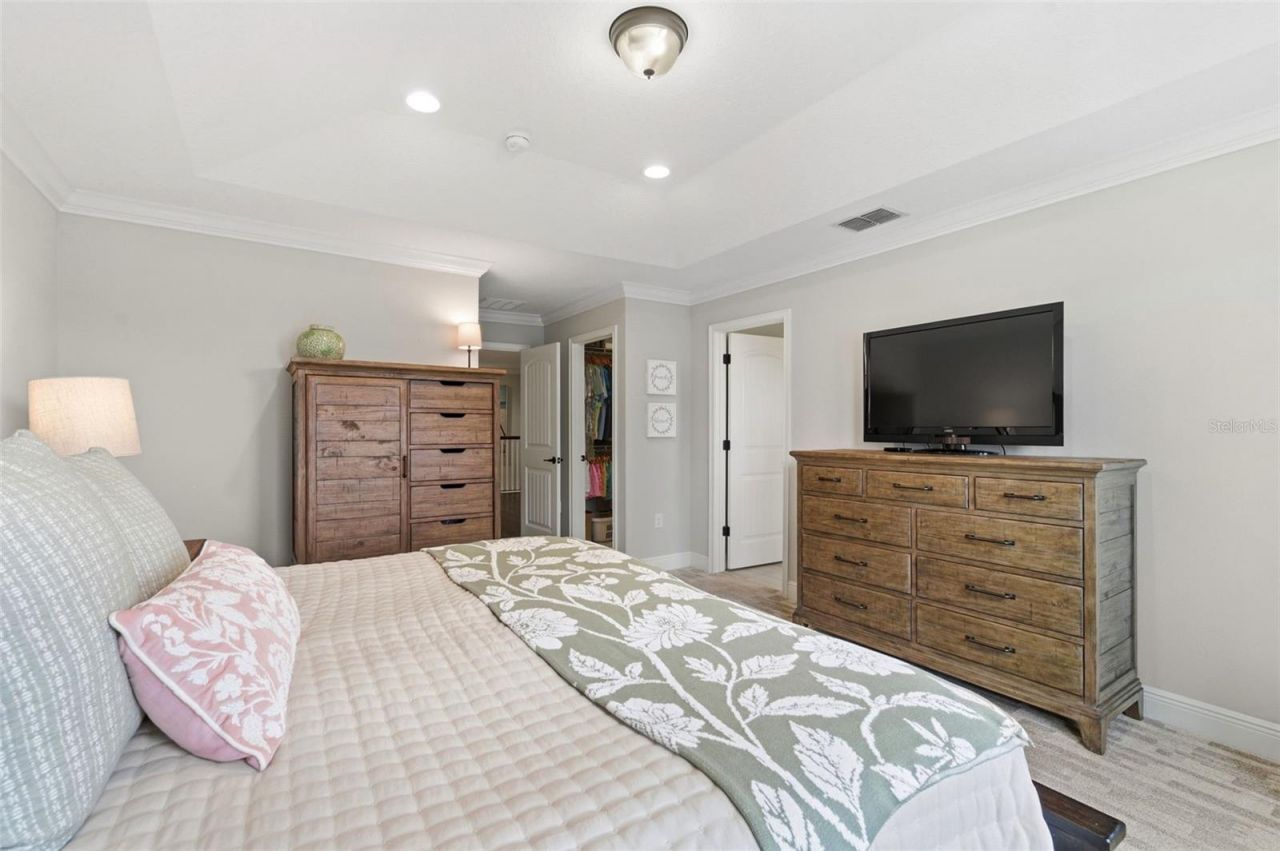 1004 Mango Court, Oldsmar, FL 34677 Photo