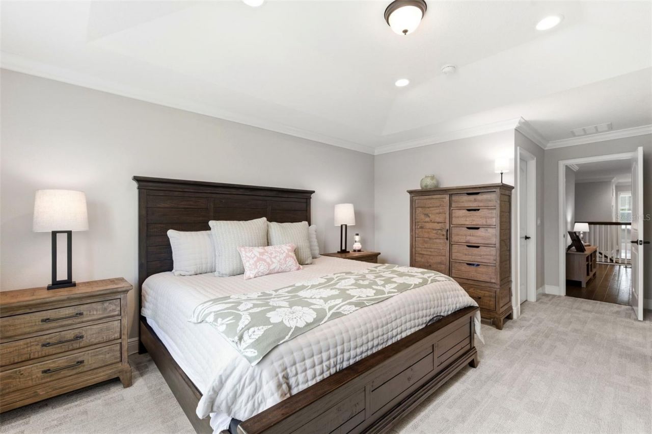 1004 Mango Court, Oldsmar, FL 34677 Photo