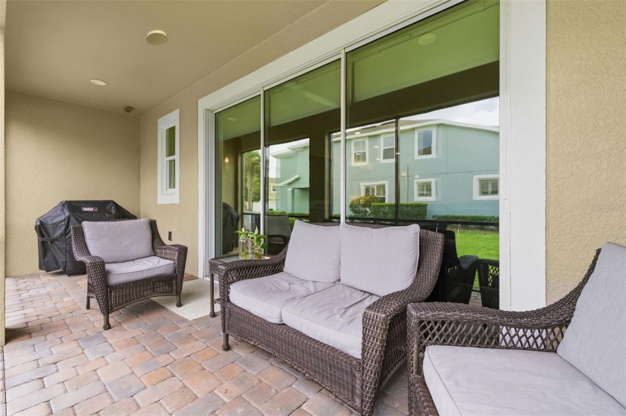 1004 Mango Court, Oldsmar, FL 34677 Photo