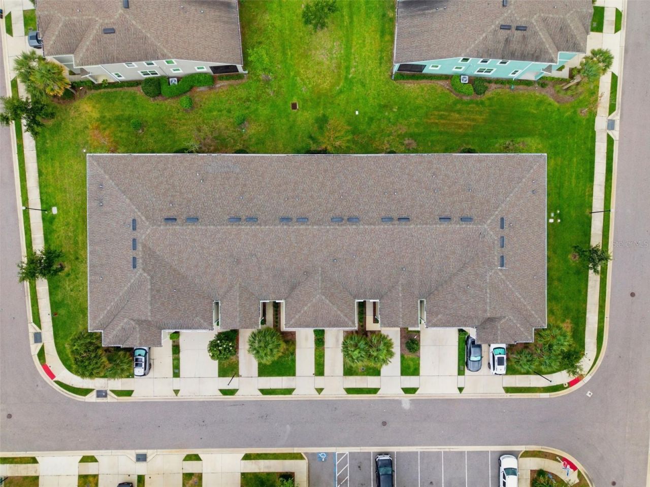 1004 Mango Court, Oldsmar, FL 34677 Photo