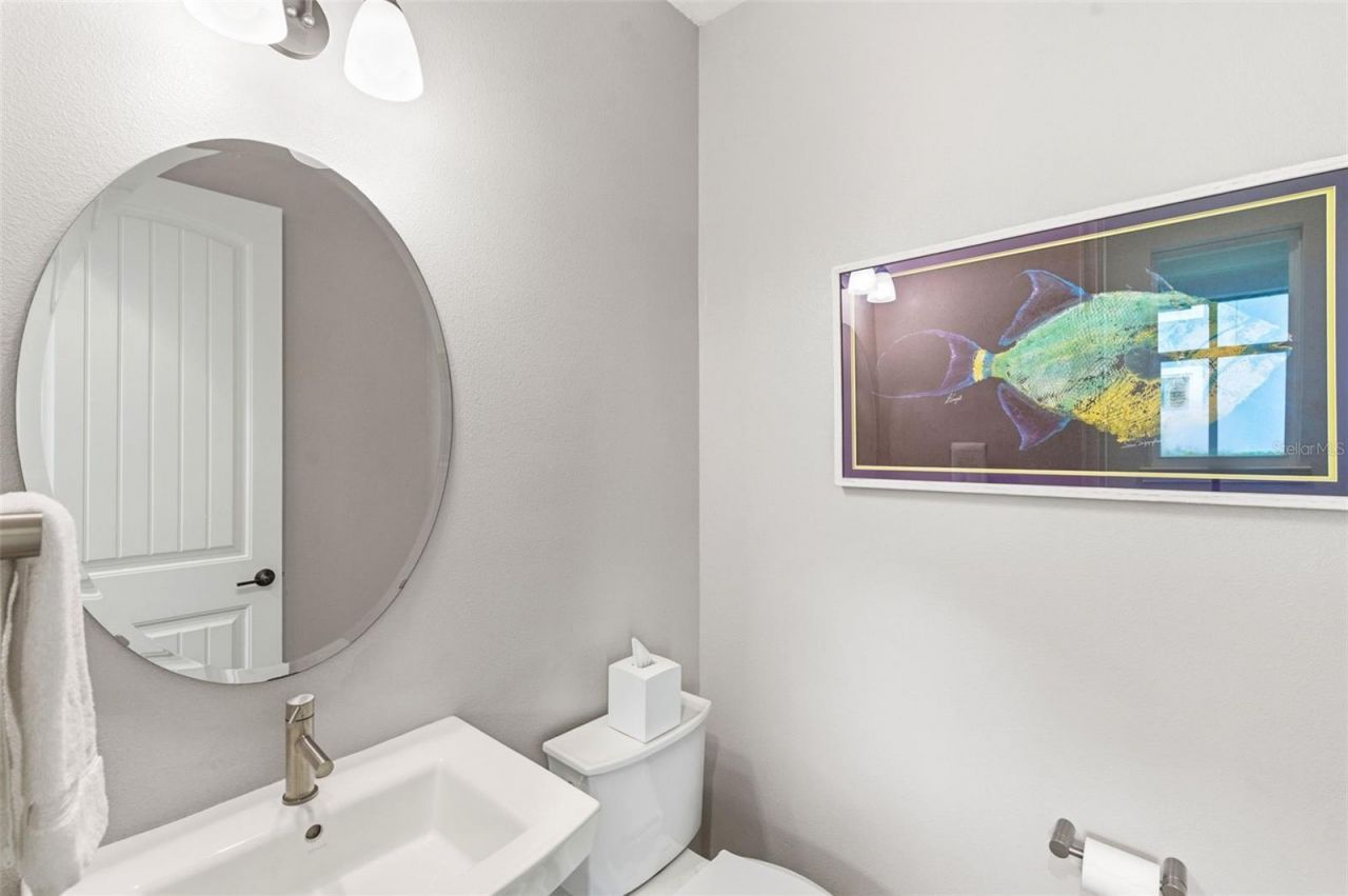 1004 Mango Court, Oldsmar, FL 34677 Photo