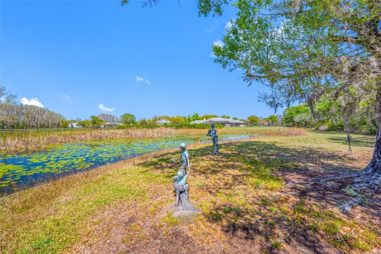 11939 Pasco Trails Boulevard, Spring Hill, FL 34610 Photo