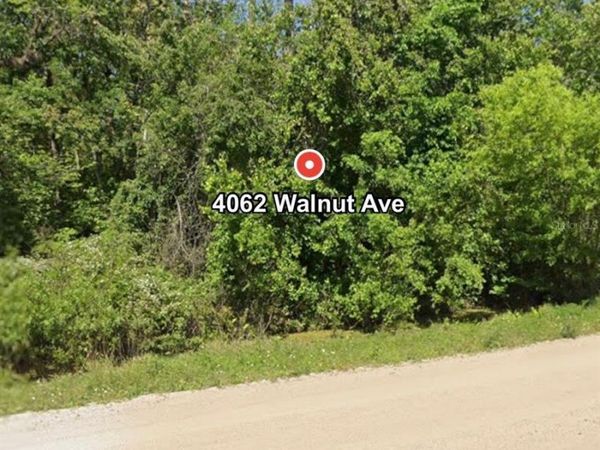 4062 WALNUT AVENUE , BUNNELL, FL 32110