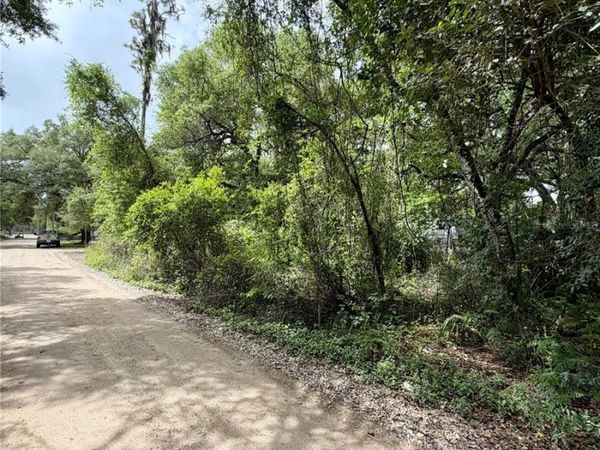 TBD NE 130 PLACE , SALT SPRINGS, FL 32134