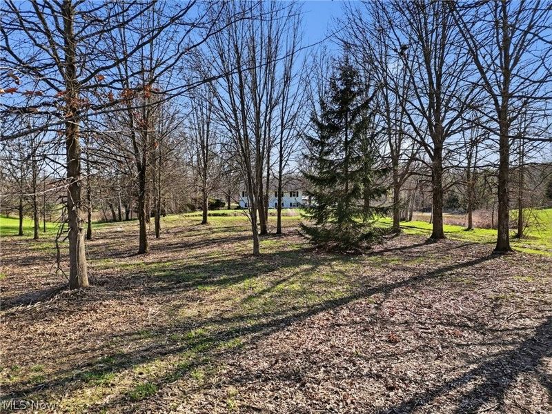 9800 Williams Road, Diamond, OH 44412 Photo 31