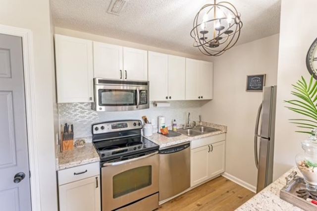 203 Double Eagle Dr. Photo 15