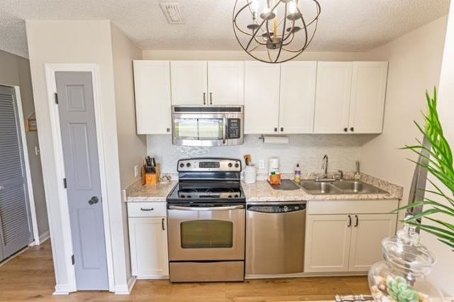 203 Double Eagle Dr. Photo 16