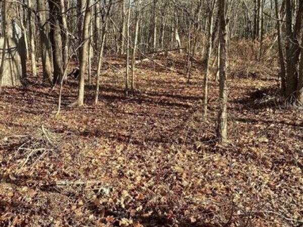 0 Prospect St, Brockton, MA 02301