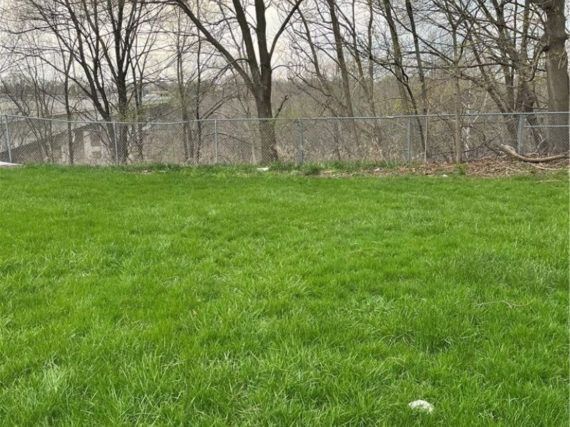 Schenley Avenue, Ashtabula, OH 44004 Photo 4