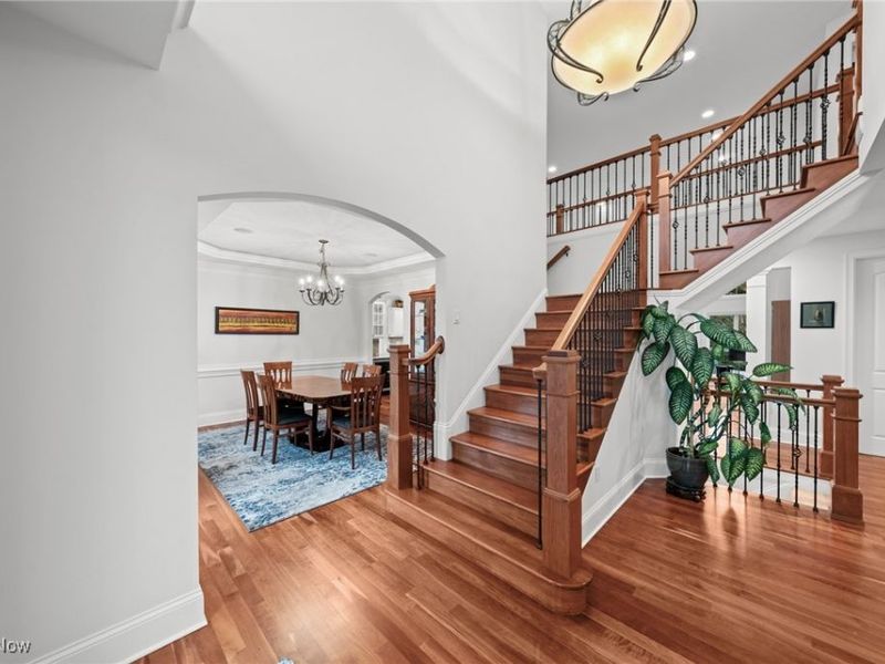 343 Glasgow Drive, Highland Heights, OH 44143 Photo 3