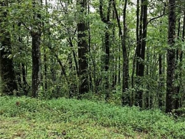 30 Honeysuckle Highway, Jasper, GA 30143