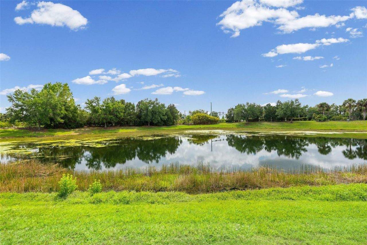 11904 Forest Park Circle, Bradenton, FL 34211 Photo