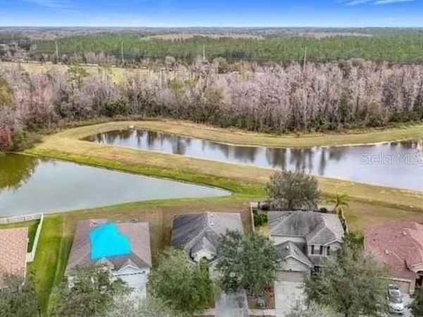 10918 ANCIENT FUTURES DRIVE , TAMPA, FL 33647