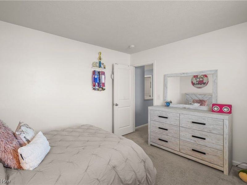 2207 Fowl Road, Elyria, OH 44035 Photo 18