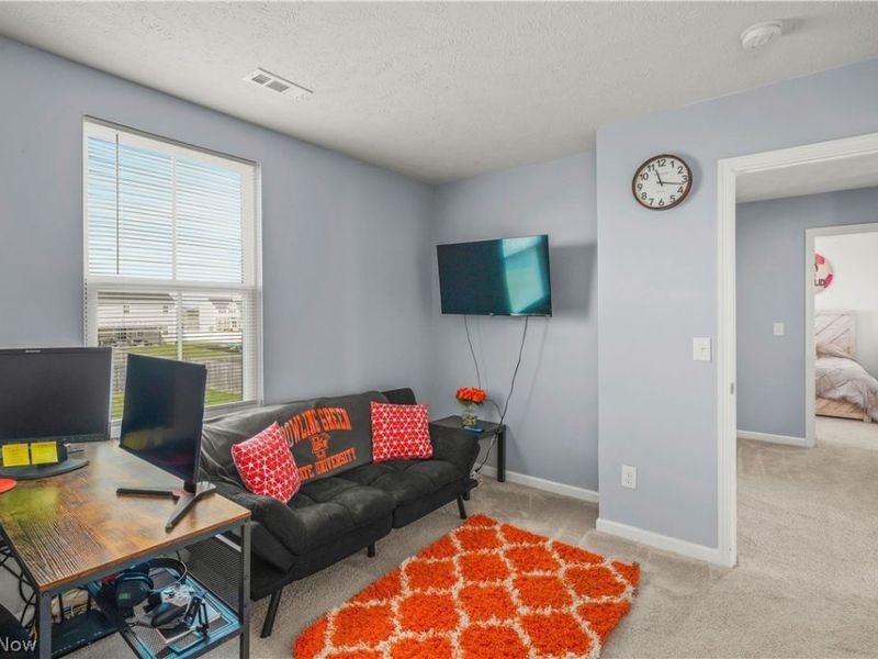 2207 Fowl Road, Elyria, OH 44035 Photo 20